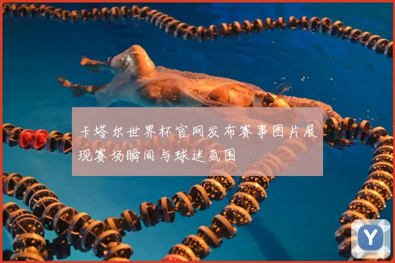卡塔尔世界杯官网发布赛事图片展现赛场瞬间与球迷氛围