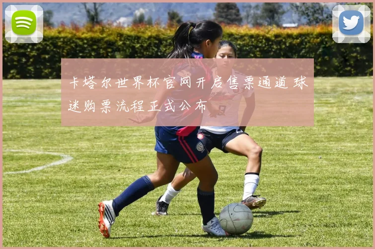 卡塔尔世界杯官网开启售票通道 球迷购票流程正式公布