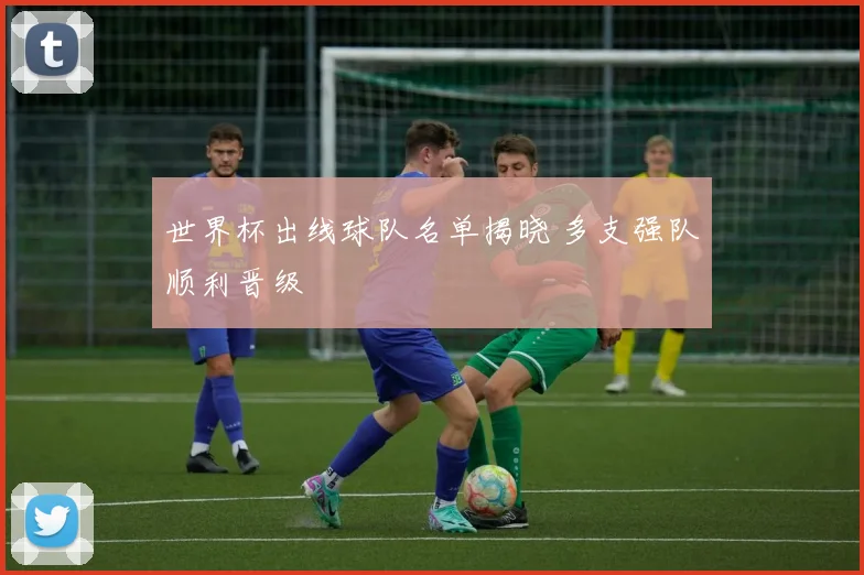 世界杯出线球队名单揭晓 多支强队顺利晋级