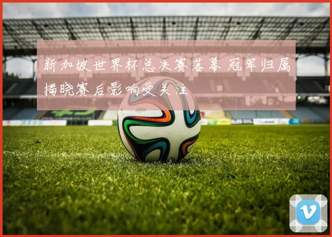 新加坡世界杯总决赛落幕 冠军归属揭晓赛后影响受关注